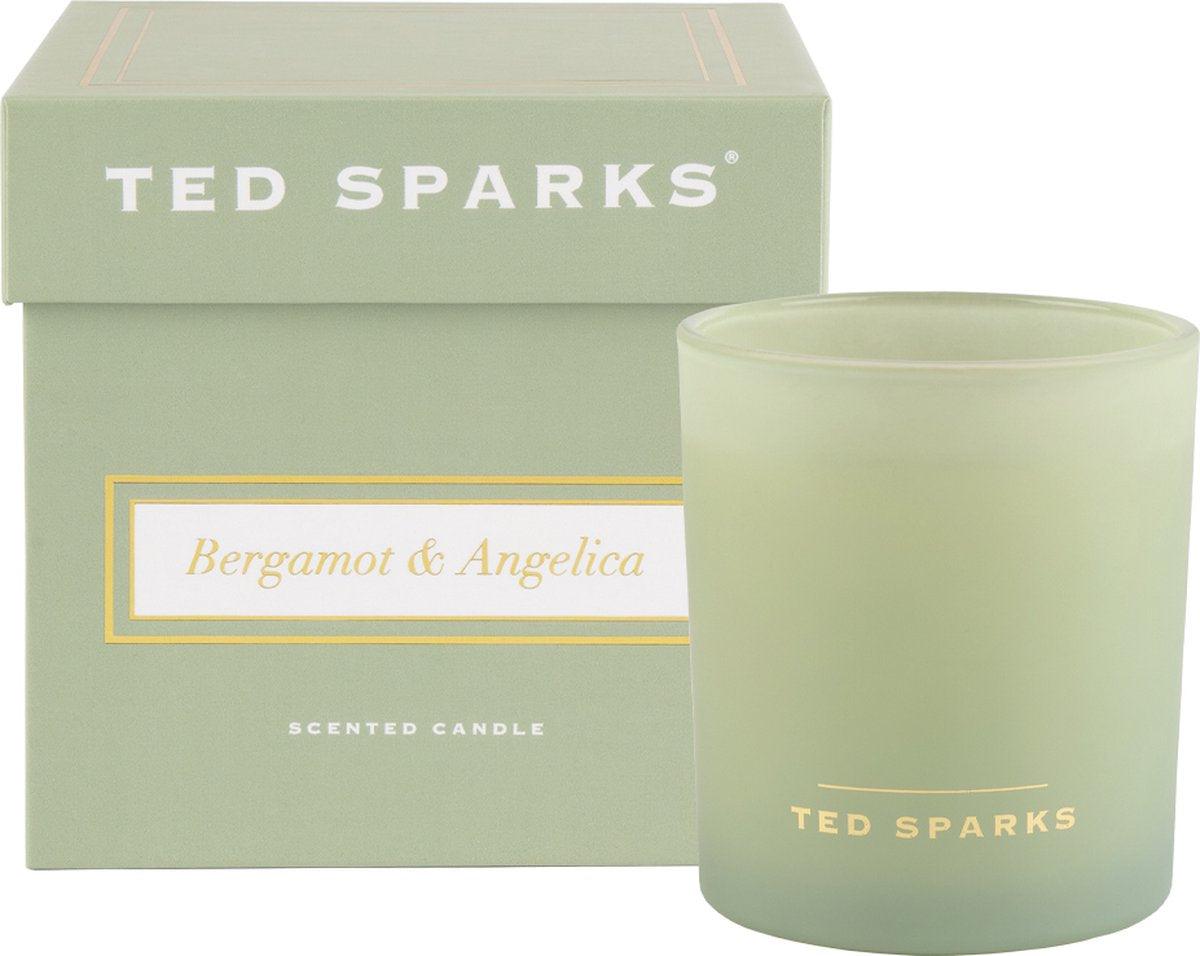 Demi - Bergamot & Angelica Geurkaars Ted Sparks