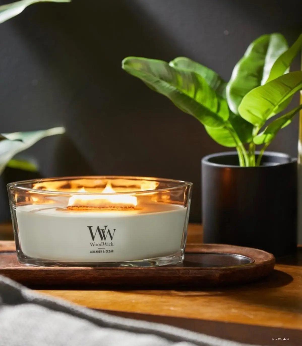 woodwick - Ohker Living
