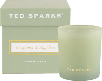 Demi - Bergamot & Angelica Geurkaars Ted Sparks